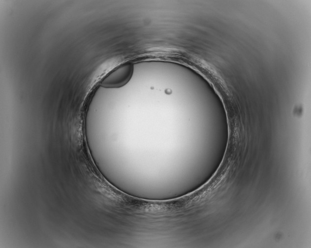 X0000097981362200804071113