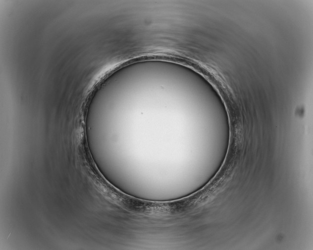 X0000097981363200804071113