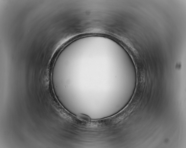 X0000097981364200804071113