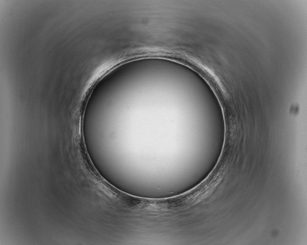 X0000097981365200804071113