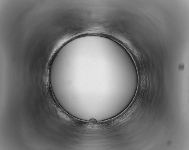 X0000097981366200804071113