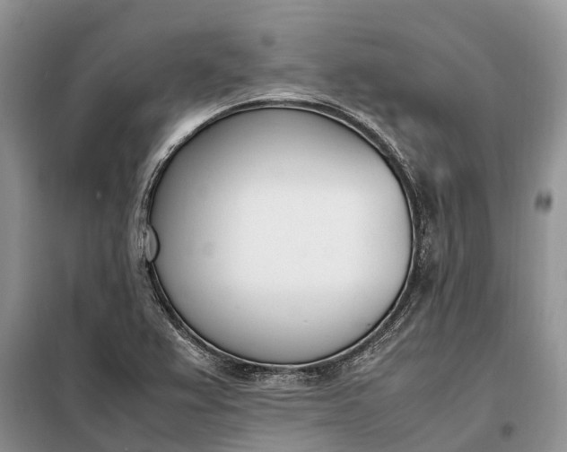 X0000097981367200804071113