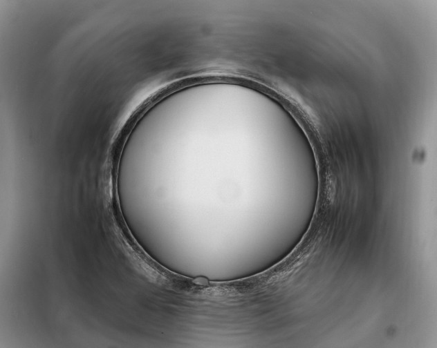 X0000097981368200804071113