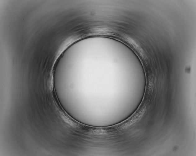 X0000097981370200804071113