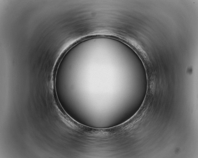 X0000097981372200804071113