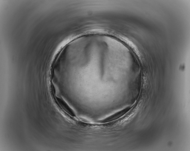 X0000097981373200804071113