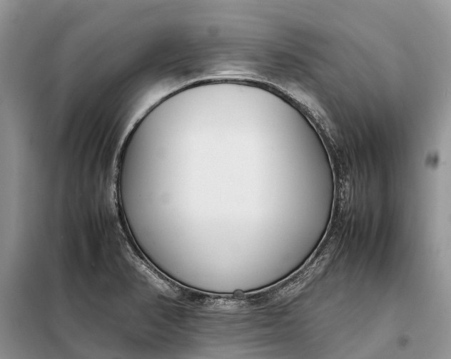 X0000097981374200804071113