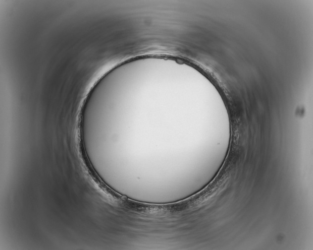 X0000097981375200804071113