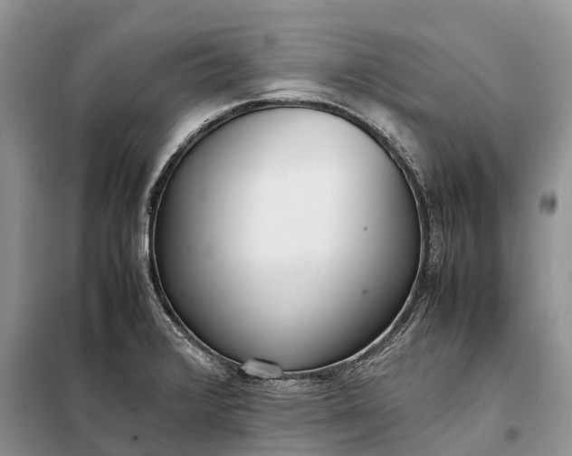 X0000097981376200804071113