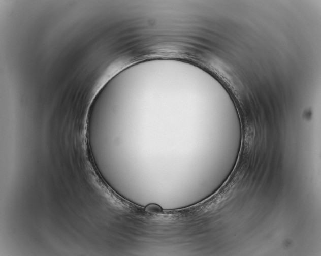 X0000097981378200804071113