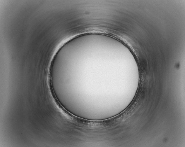 X0000097981379200804071113