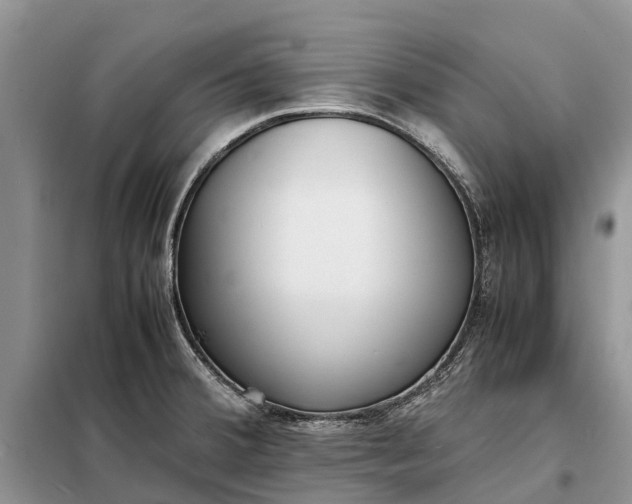 X0000097981380200804071113