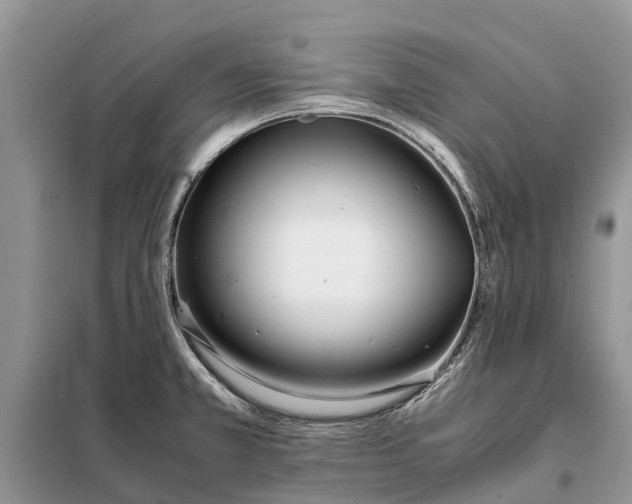 X0000097981381200804071113
