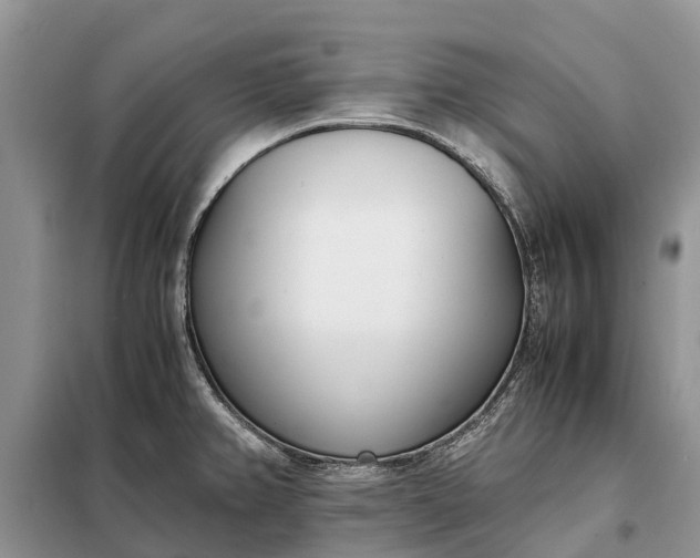 X0000097981382200804071113