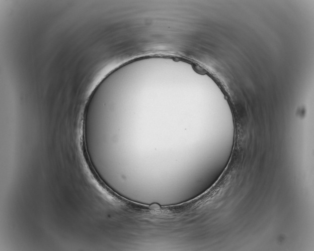 X0000097981383200804071113