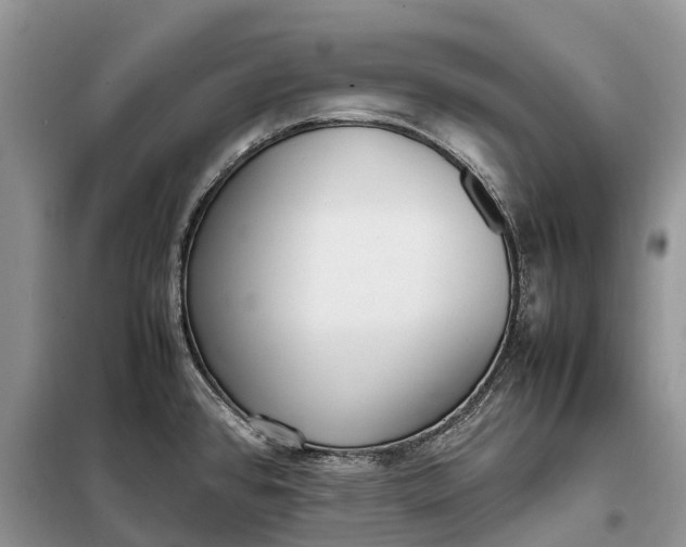 X0000097981384200804071113