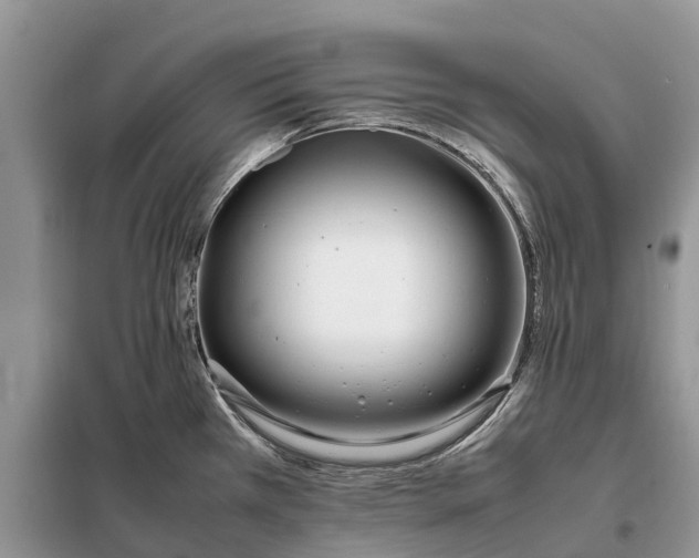 X0000097981385200804071113