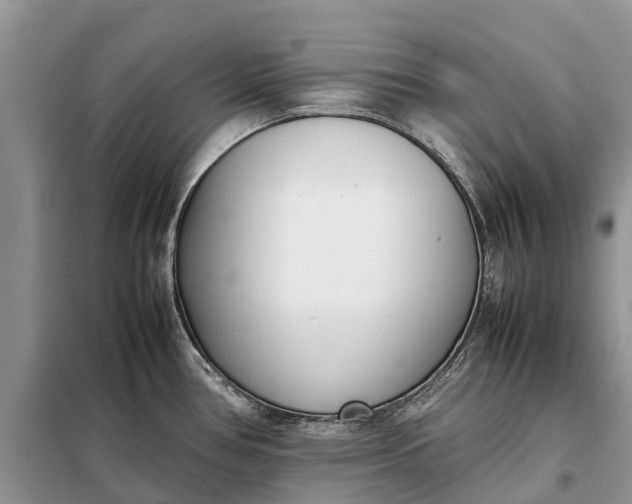 X0000097981386200804071113