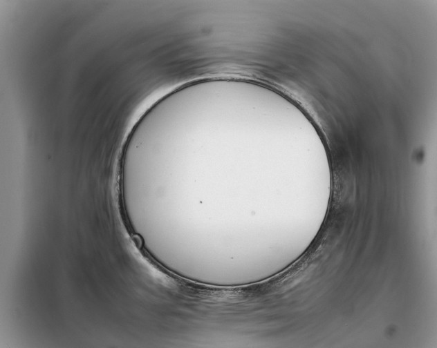 X0000097981387200804071113