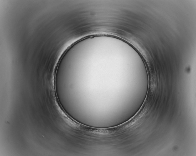 X0000097981388200804071113