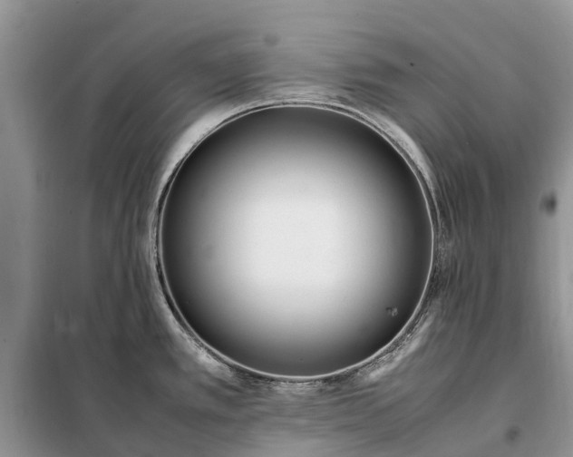 X0000097981389200804071113