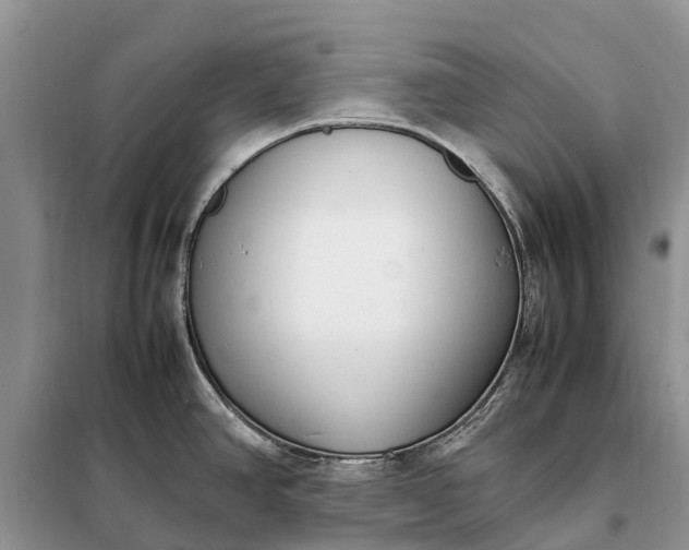 X0000097981390200804071113