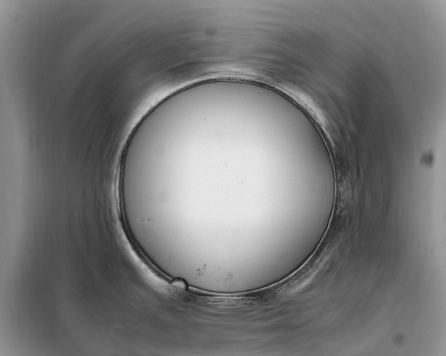 X0000097981391200804071113