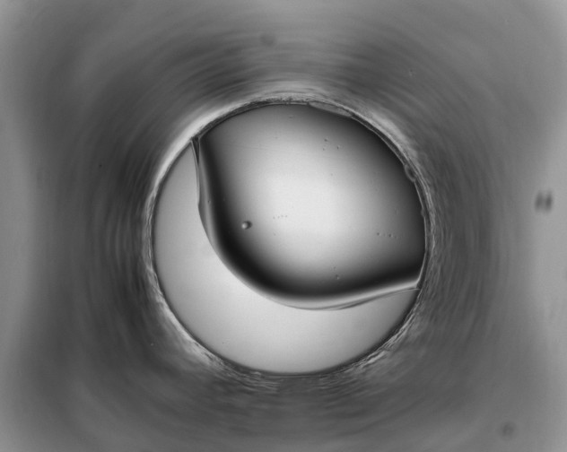 X0000097981392200804071113