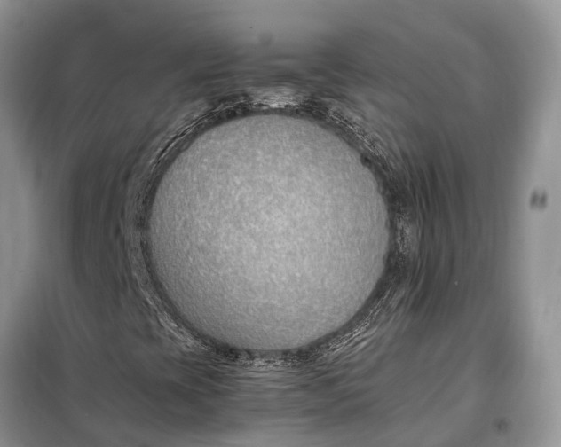 X0000097981393200804071112