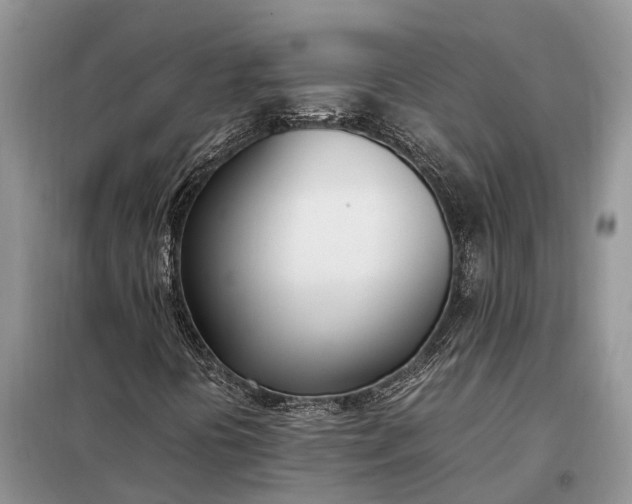 X0000097981394200804071112