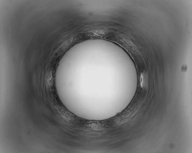 X0000097981395200804071112