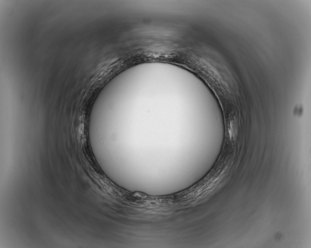 X0000097981396200804071112