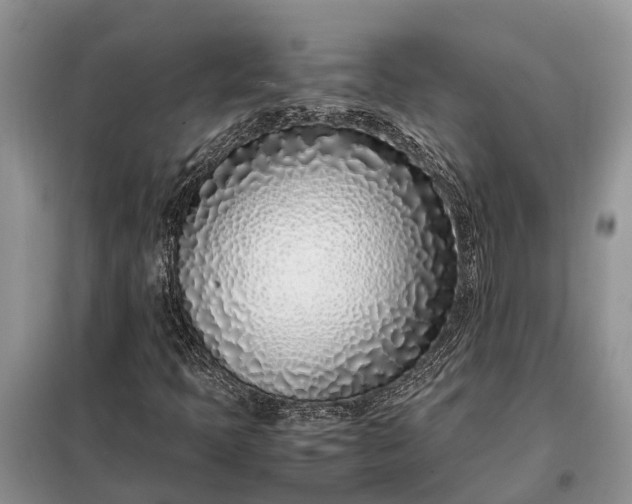 X0000097981397200804071112