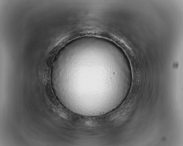 X0000097981399200804071112