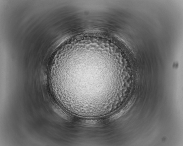 X0000097981401200804071112