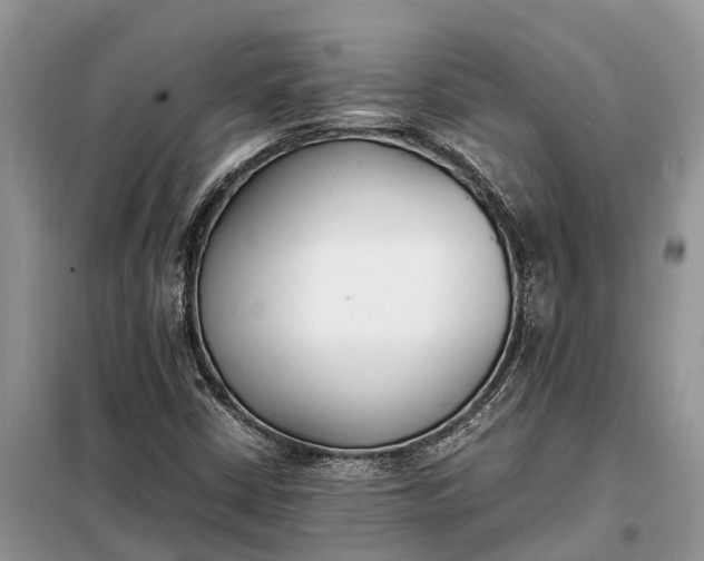 X0000097981402200804071112