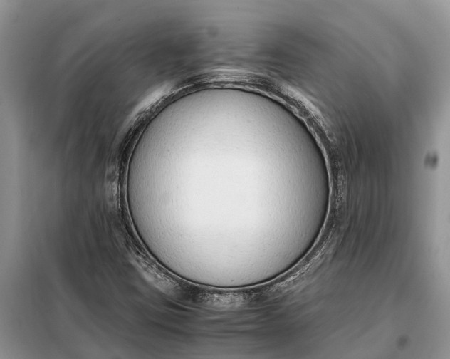 X0000097981403200804071112
