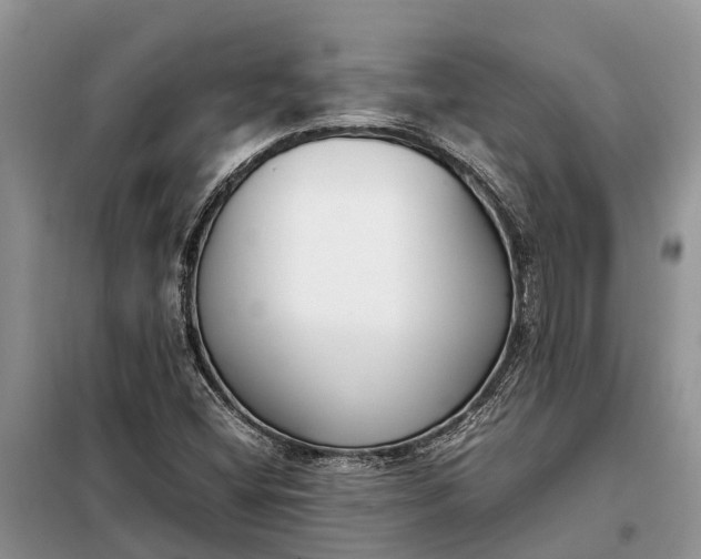 X0000097981404200804071112