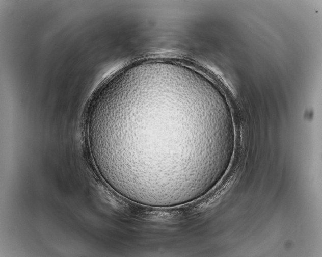X0000097981405200804071112