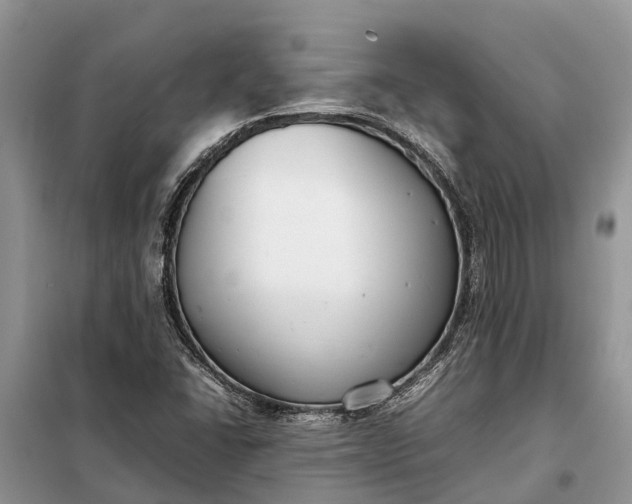 X0000097981406200804071112
