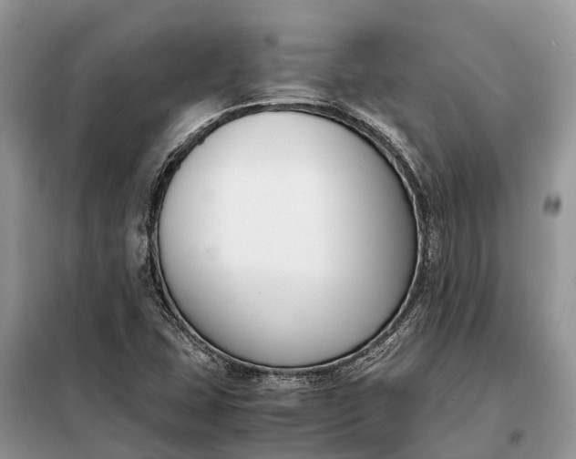 X0000097981407200804071112