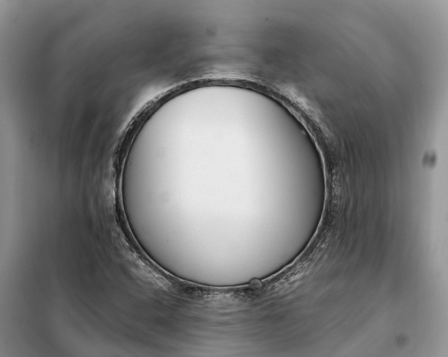 X0000097981408200804071112