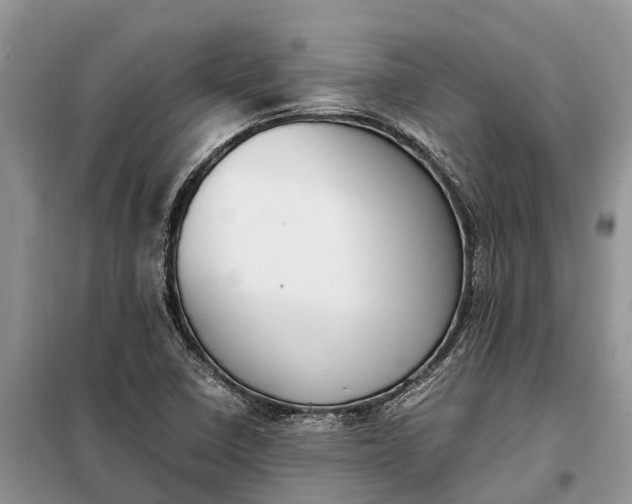 X0000097981410200804071112