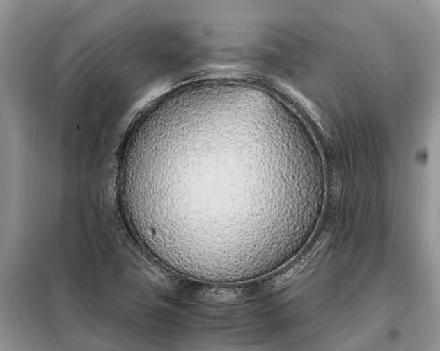 X0000097981411200804071112