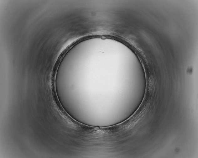 X0000097981412200804071112