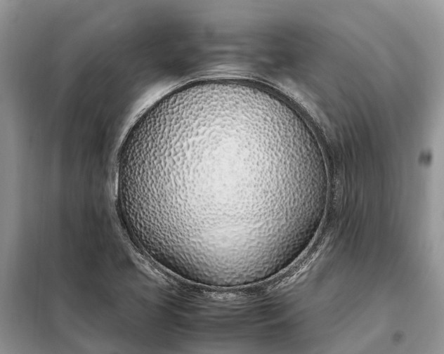 X0000097981413200804071112