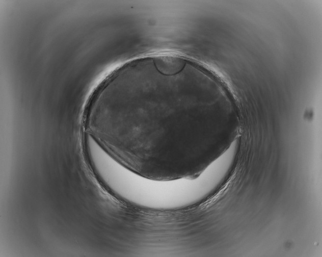 X0000097981414200804071112