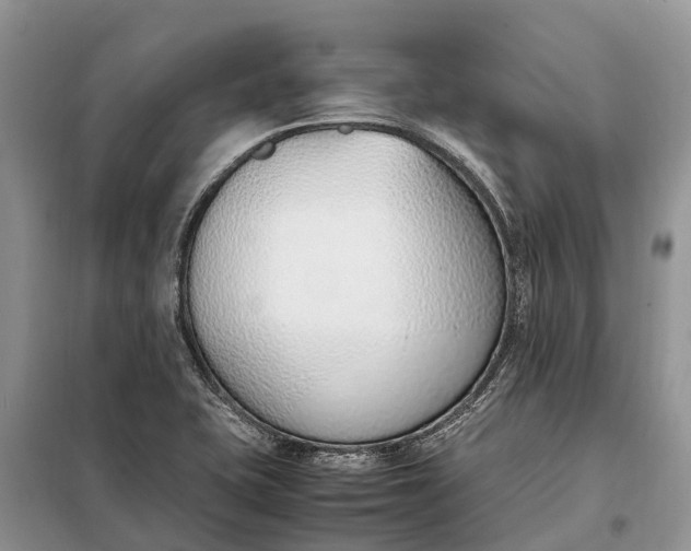 X0000097981415200804071112