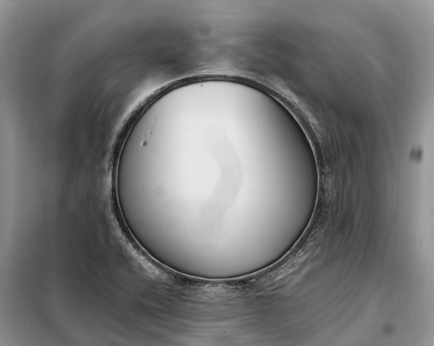 X0000097981416200804071112