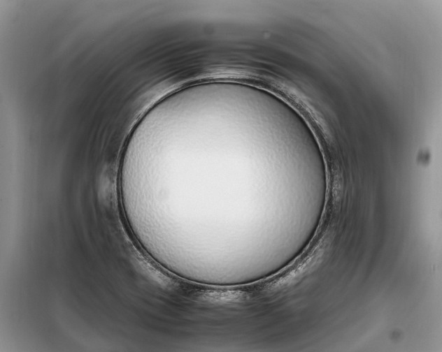 X0000097981417200804071112